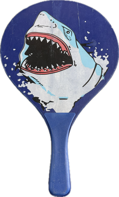 Vist Large View of Product Image Which is Used Other Smashball Paddle Outdoor Game
