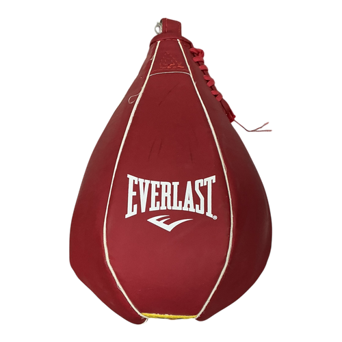 Vist Large View of Product Image Which is Used Everlast SPEED BAG Boxing Speed Bag Red