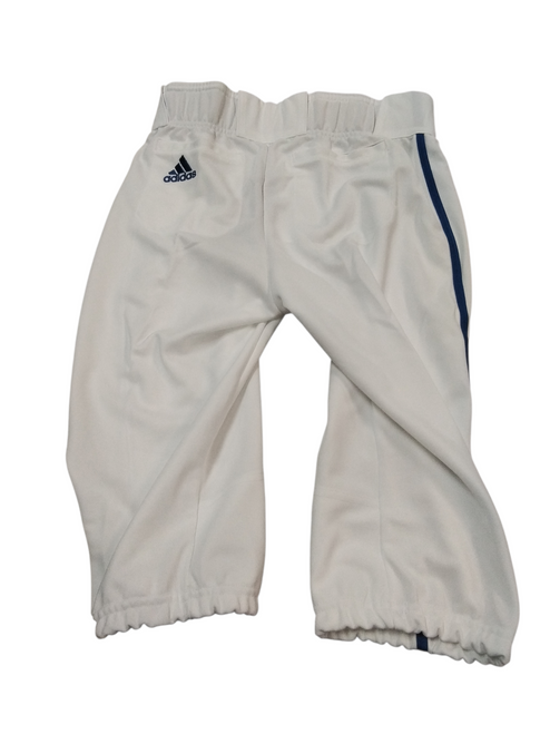 Vist Large View of Product Image Which is NEW Adidas BB/SB Pant Boys White XL