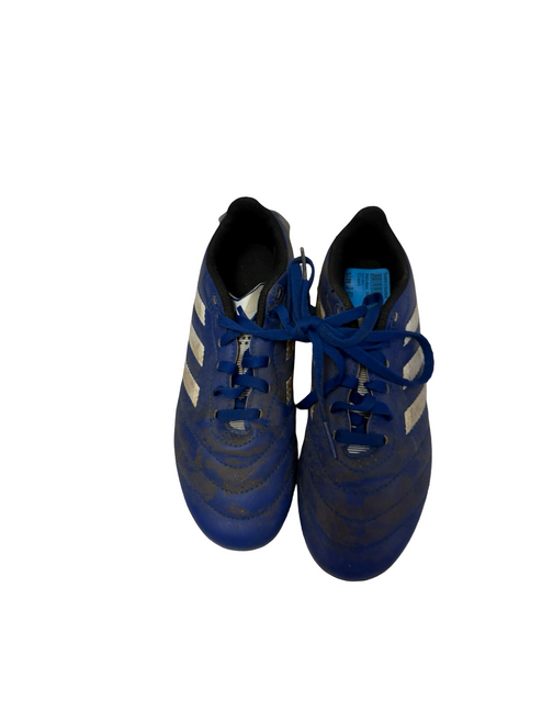 Vist Large View of Product Image Which is Used Adidas GOLETTO VIII FG GW6162 Soccer Cleats Junior 02