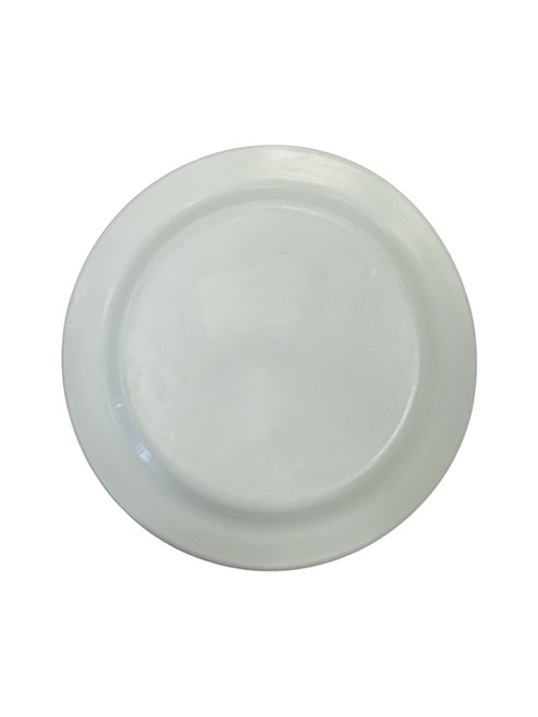 Vist Large View of Product Image Which is Frisbee