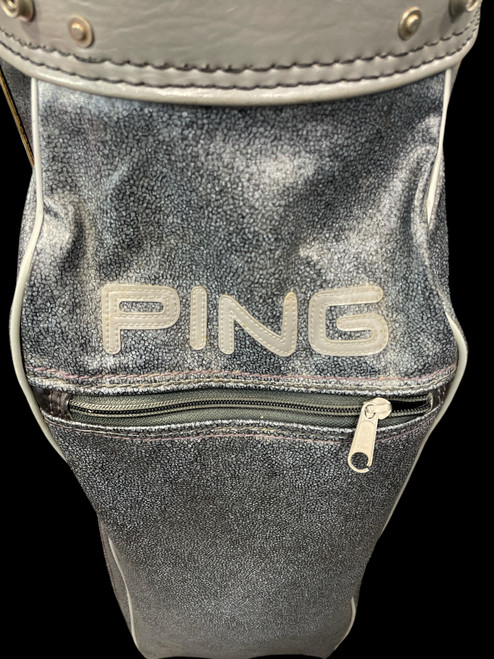 Vist Large View of Product Image Which is Used Ping Mens Cart Bag Silver