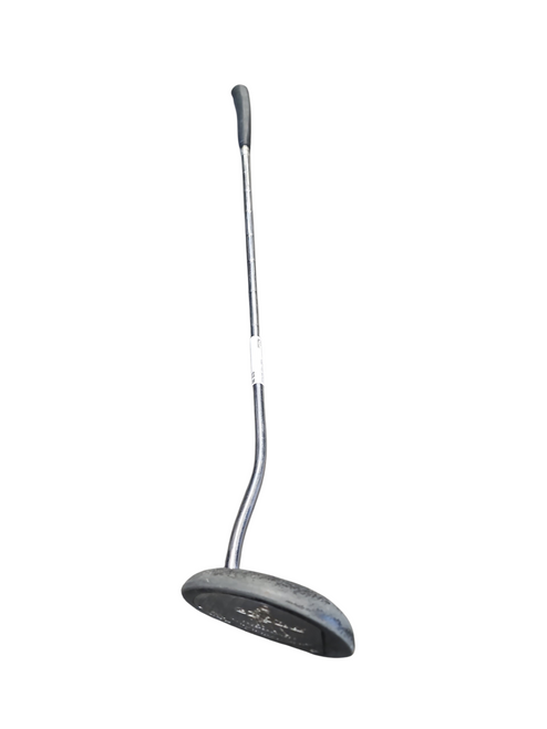 Vist Large View of Product Image Which is Used Zebra FACE BALANCED Mens Putter RH
