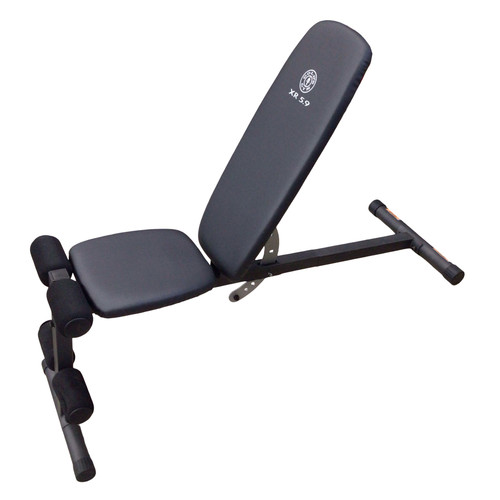 Vist Large View of Product Image Which is Used Golds Gym XR 5.9 FID BENCH FID Bench