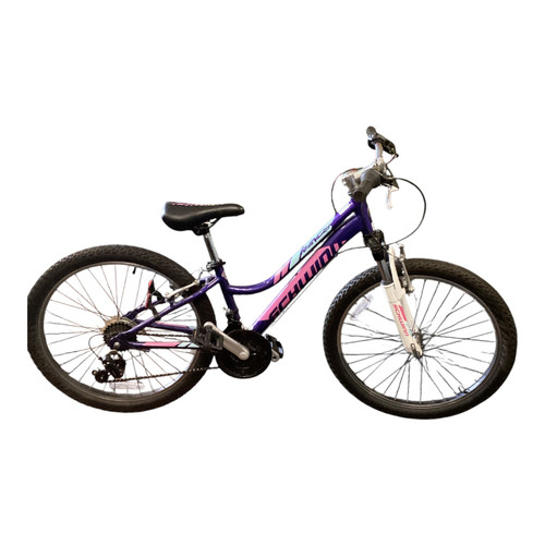Vist Large View of Product Image Which is Schwinn RANGER Mountain Bike Girls 24"
