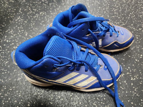 Vist Large View of Product Image Which is Used Adidas ICON BB/SB Cleats Royal Blue Junior 01
