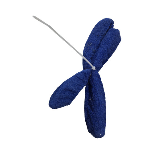 Vist Large View of Product Image Which is Used Hockey Accessory