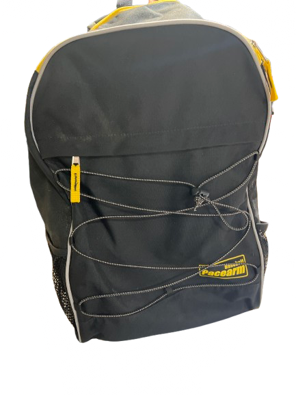 Vist Large View of Product Image Which is Used BASEBALL PACEARM BAG BB/SB Player Backpack Black And Gold