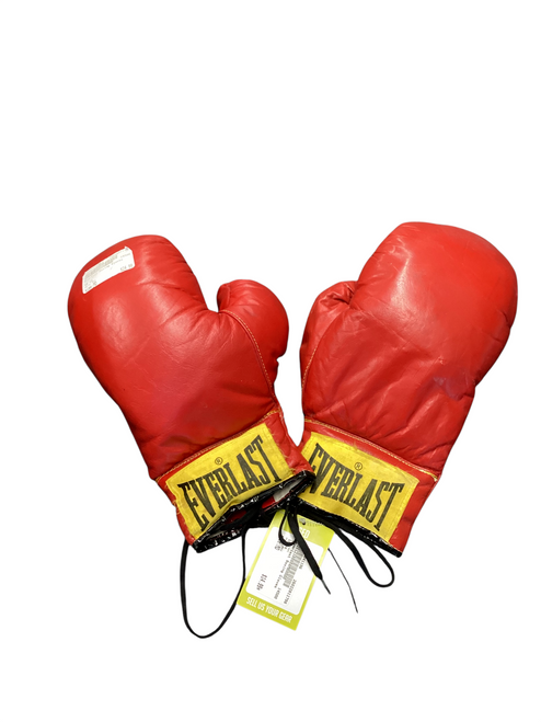 Vist Large View of Product Image Which is Used Everlast Boxing Gloves Red 