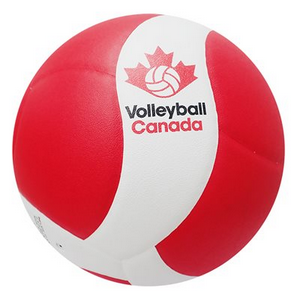 Vist Large View of Product Image Which is Volleyball 