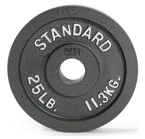 Vist Large View of Product Image Which is New 25 lb Gray Olympic Plate