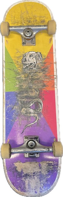 Vist Large View of Product Image Which is Used DOG TRUCK AND CO Complete Skateboard