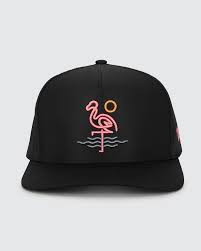 Vist Large View of Product Image Which is New WAGGLE FLAMINGO BAY HAT