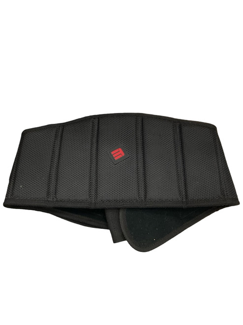 Vist Large View of Product Image Which is Used Ethos Exercise Weight Belt