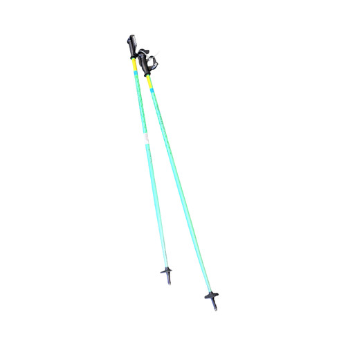 Vist Large View of Product Image Which is Used WHI SKI POLES Mens DH Ski Pole Green 125 cm / 50 in