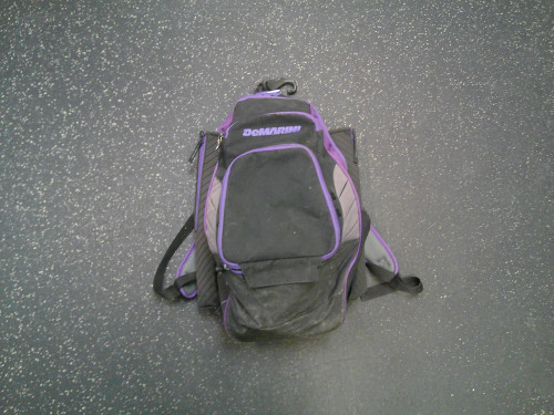 Vist Large View of Product Image Which is Used Demarini BAT PACK BB/SB Player Backpack Purple