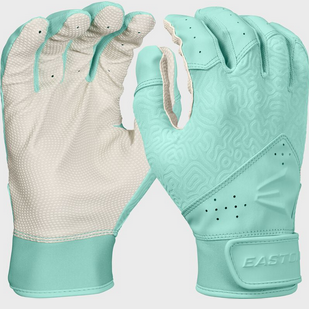 Vist Large View of Product Image Which is New EASTON FUNDAMENTAL 2.0 M WHMT