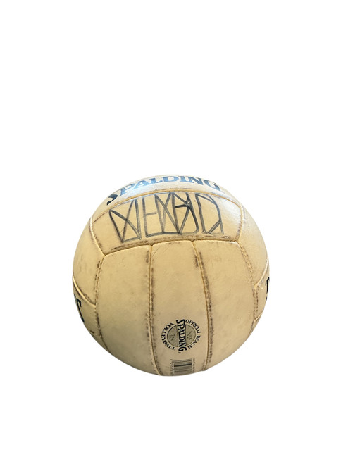 Vist Large View of Product Image Which is Used Spalding Indoor VB White