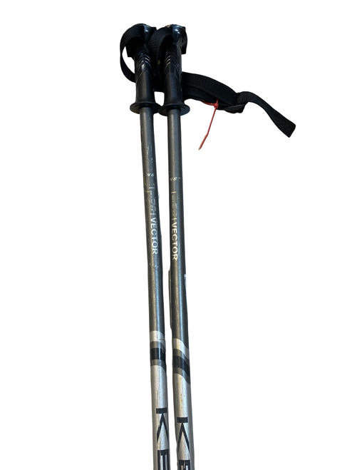 Vist Large View of Product Image Which is Used VECTOR Mens DH Ski Pole Grey 115 cm / 46 in