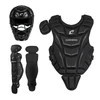 Vist Large View of Product Image Which is New Fastpitch Catcher Set 8U