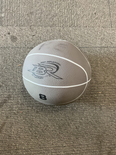 Vist Large View of Product Image Which is Used Century Medicine Ball Grey 8 lb