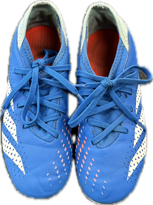 Vist Large View of Product Image Which is Used Adidas PREDATOR ACCURACY.3 FG Soccer Cleats Navy Blue And Carolina Blue Junior 02