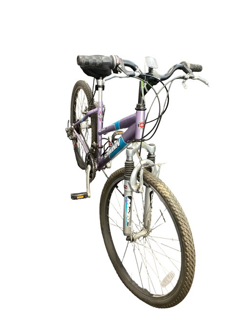 Vist Large View of Product Image Which is Used Schwinn HIGH PLAINS Mountain Bike Womens Purple 48-52cm - 19-20" - LG Frame