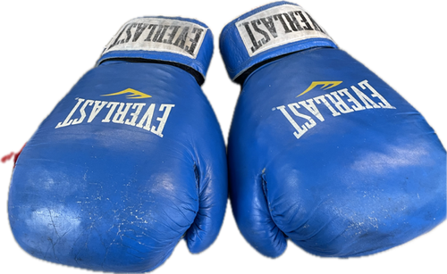 Vist Large View of Product Image Which is Used Everlast Boxing Gloves Carolina Blue Senior