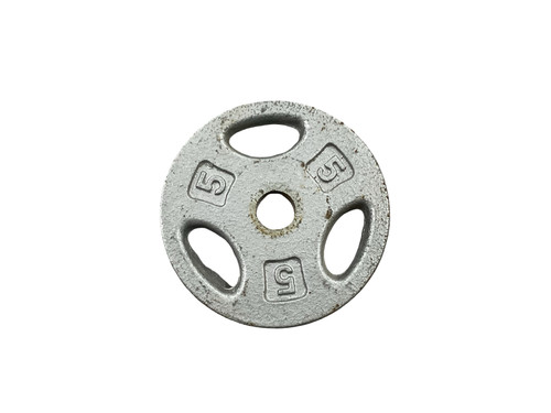 Vist Large View of Product Image Which is Used Standard Plate (Each) 5 lb