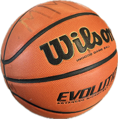 Vist Large View of Product Image Which is Used Wilson EVOLUTION Basketball Adult Indoor