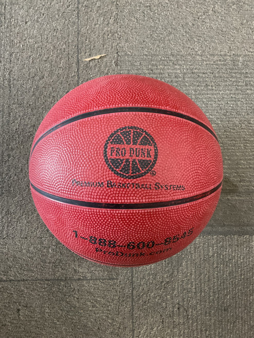 Vist Large View of Product Image Which is Used PRO DUNK BASKETBALL Basketball Adult Outdoor