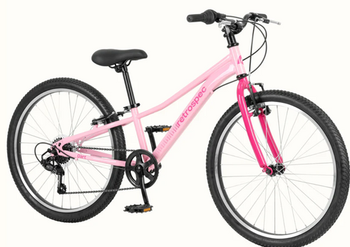 Vist Large View of Product Image Which is New DART 24" - WILD BERRY