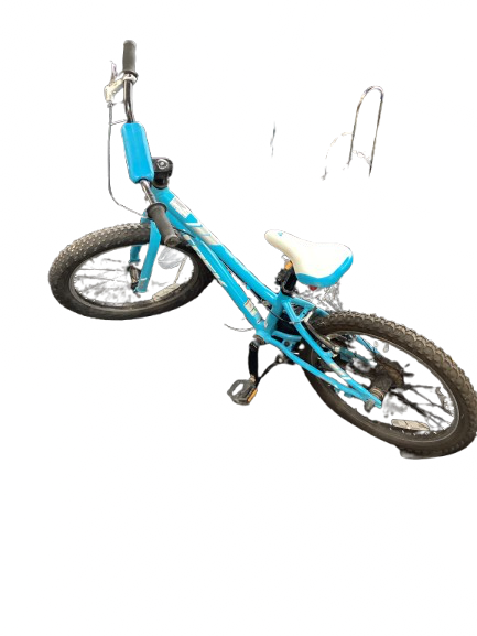 Vist Large View of Product Image Which is Used Trek PRECALIBER Mountain Bike Girls Carolina Blue 20"