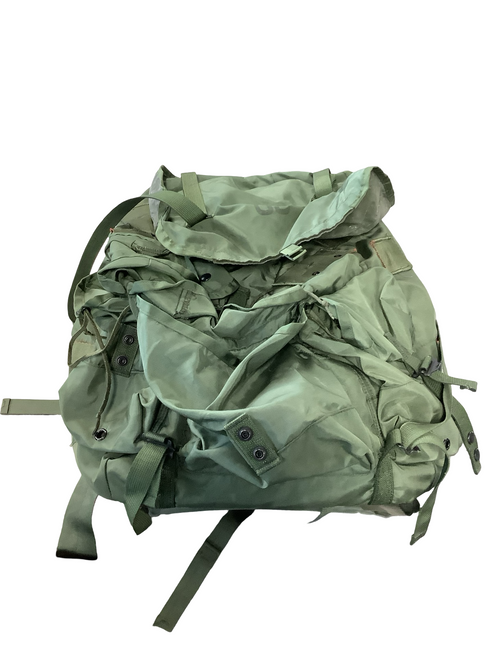 Vist Large View of Product Image Which is Used HIKING BACKPACK Backpack Green