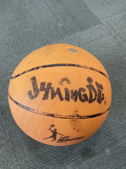 Vist Large View of Product Image Which is Used LED BASKETBALL Basketball Adult Outdoor 29 1/2"