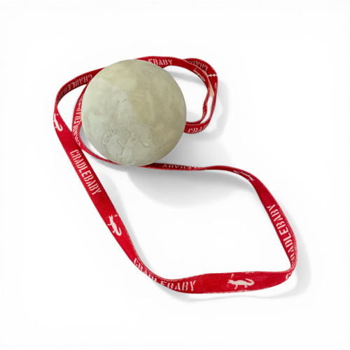 Vist Large View of Product Image Which is Used Lacrosse Training Aid