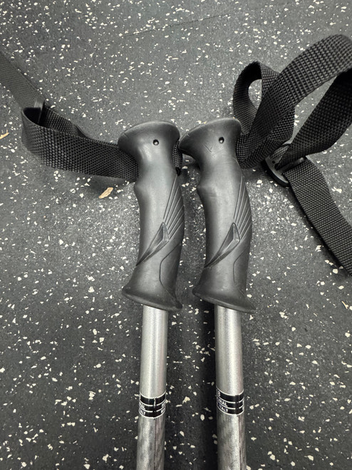 Vist Large View of Product Image Which is Used VECTOR Mens DH Ski Pole Grey 155 cm / 61 in