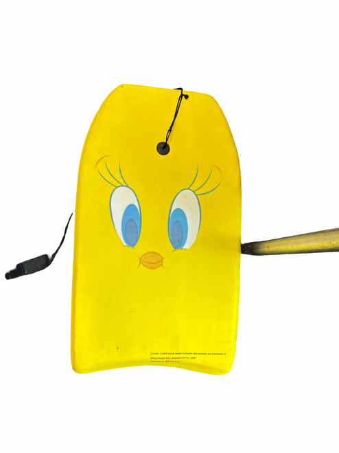 Vist Large View of Product Image Which is Used BOOGIE BOARD Other Board
