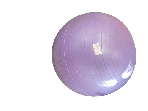 Vist Large View of Product Image Which is Used ISOKENETICS Body/Fit Ball Purple 65 cm
