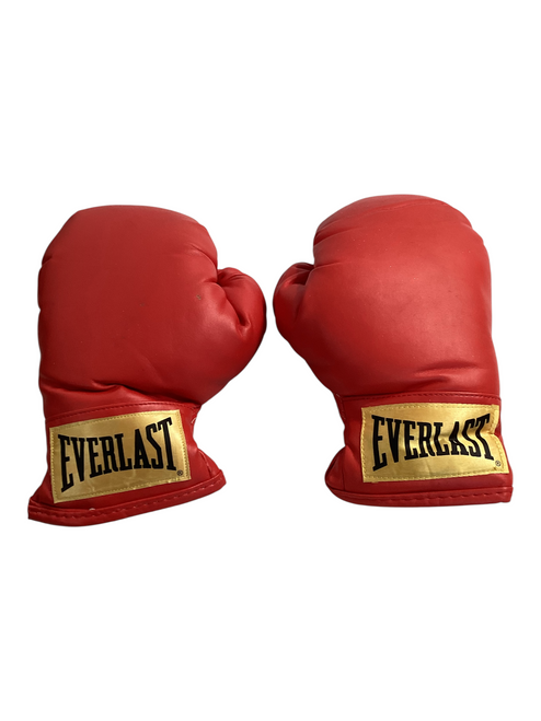 Vist Large View of Product Image Which is Used Everest Boxing Gloves Red SM