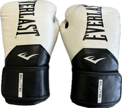 Vist Large View of Product Image Which is Used Everlast Boxing Gloves White SM