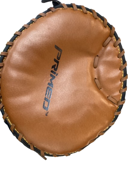 Vist Large View of Product Image Which is Used Primed TRAINING GLOVE BB/SB Training Aid