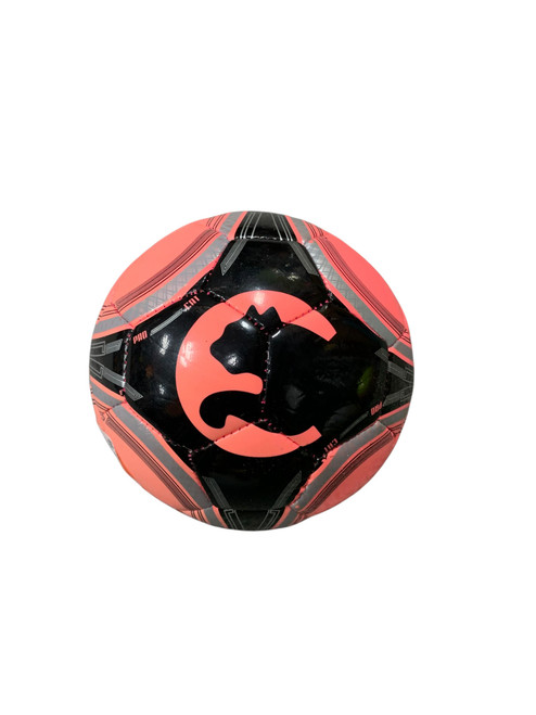 Vist Large View of Product Image Which is Used Puma All Size Soccer Ball Pink 1