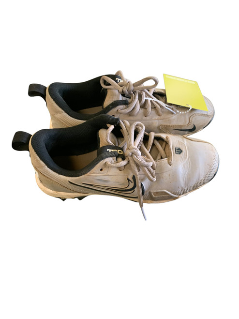 Vist Large View of Product Image Which is Used Nike BB/SB Cleats Grey Junior 04