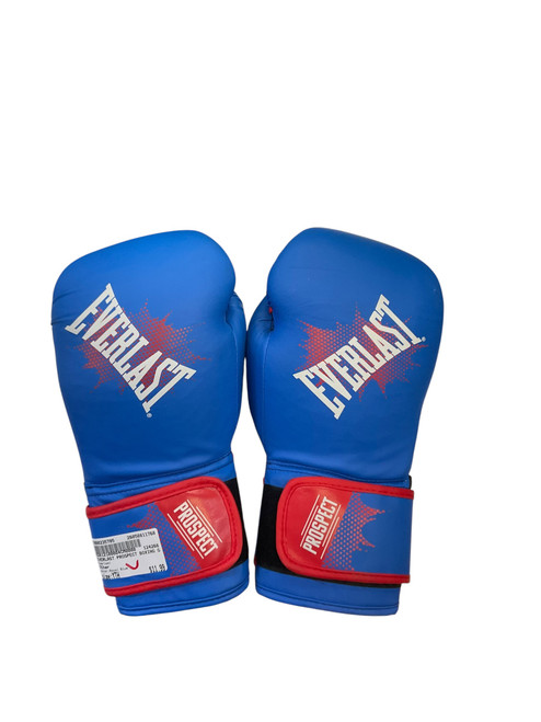 Vist Large View of Product Image Which is Used Everlast Boxing Gloves Royal Blue Youth