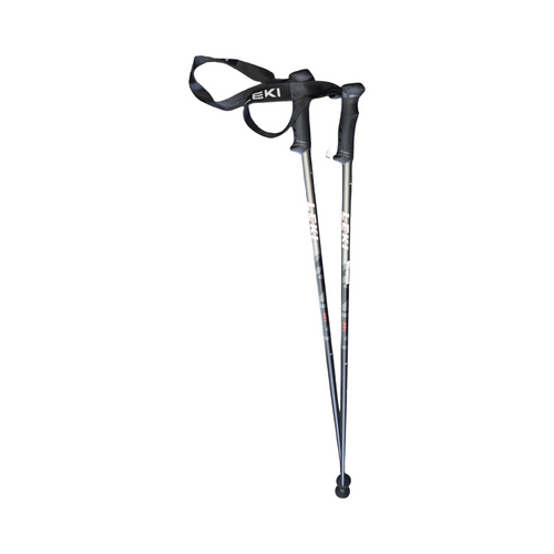 Vist Large View of Product Image Which is Used LEKI QNTM POLES 120CM/48IN Mens DH Ski Pole Black 120 cm / 48 in