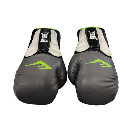 Vist Large View of Product Image Which is Used Everlast ISO PLATE Boxing Gloves Grey MD