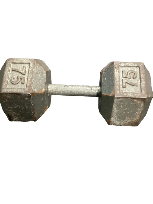 Vist Large View of Product Image Which is Used Hex Dumbbell (Each) 75 lb