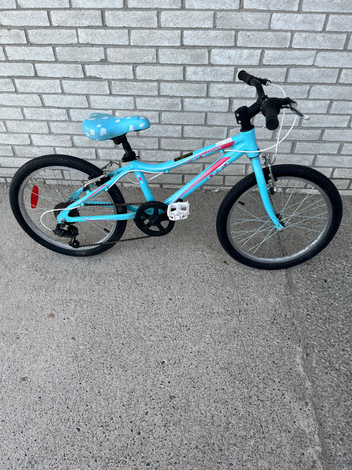 Vist Large View of Product Image Which is Used Genesis DAWN MTN BIKE Mountain Bike Girls Royal Blue 20"