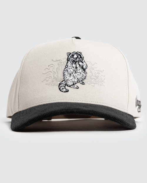 Vist Large View of Product Image Which is New TRASH BANDIT CORDUROY HAT